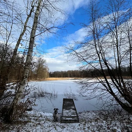 Dvur Nove Zamky Гостевой дом *