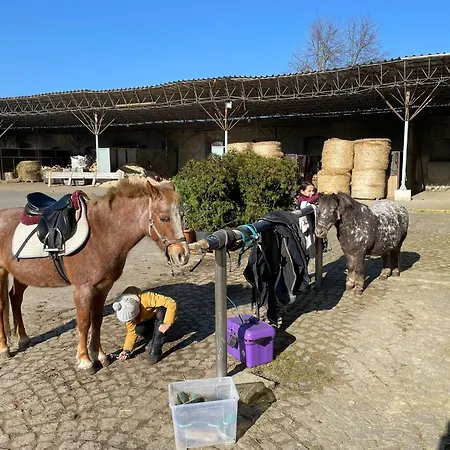 Dvur Nove Zamky Mladec