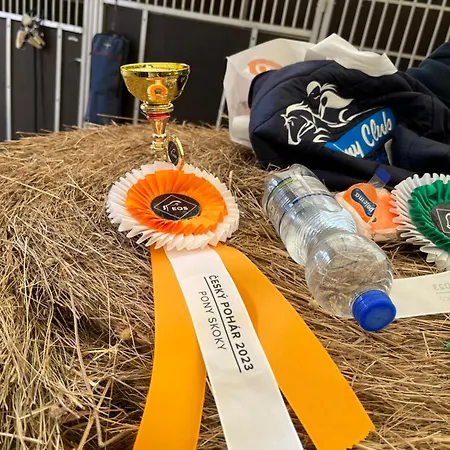 Гостевой дом Dvur Nove Zamky