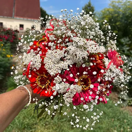 Dvůr Nové Zámky *