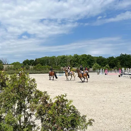 Dvur Nove Zamky Гостевой дом *