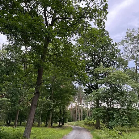 Dvur Nove Zamky Mladec