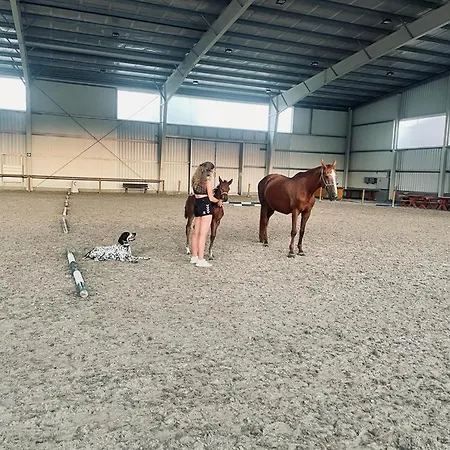 Dvur Nove Zamky Гостевой дом