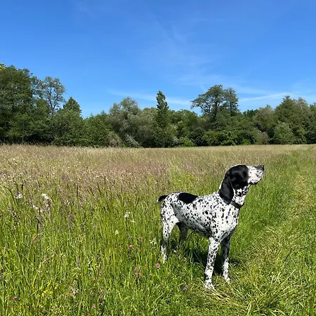 Гостевой дом Dvur Nove Zamky