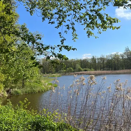 Гостевой дом Dvur Nove Zamky *