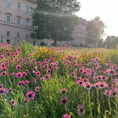 Dvur Nove Zamky * Mladec