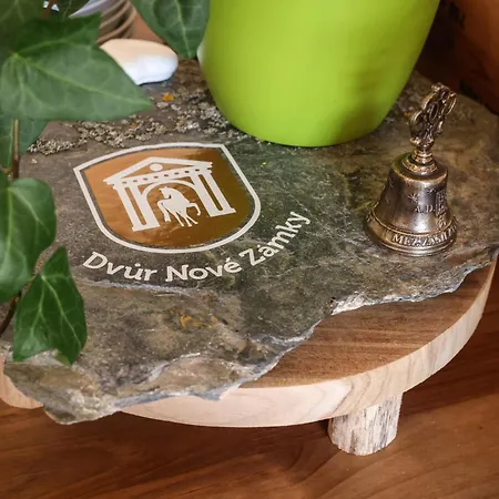 Dvur Nove Zamky Pensjonat *